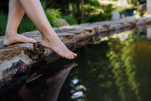 Pond Dipping