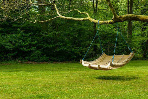 Rope Swings
